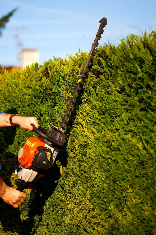 service à la personne près de Privas